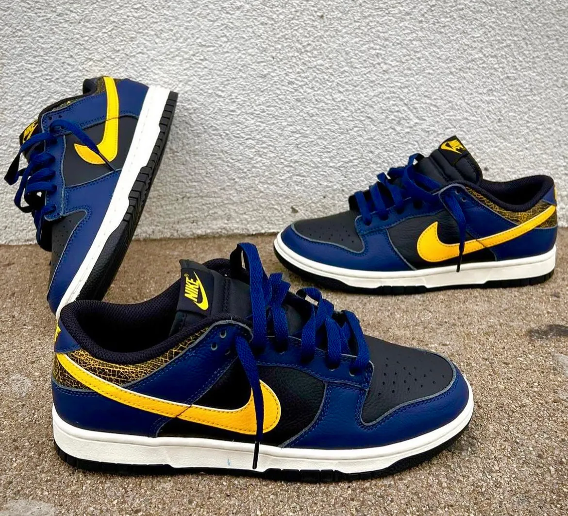 NIKE DUNK LOW MICHIGAN