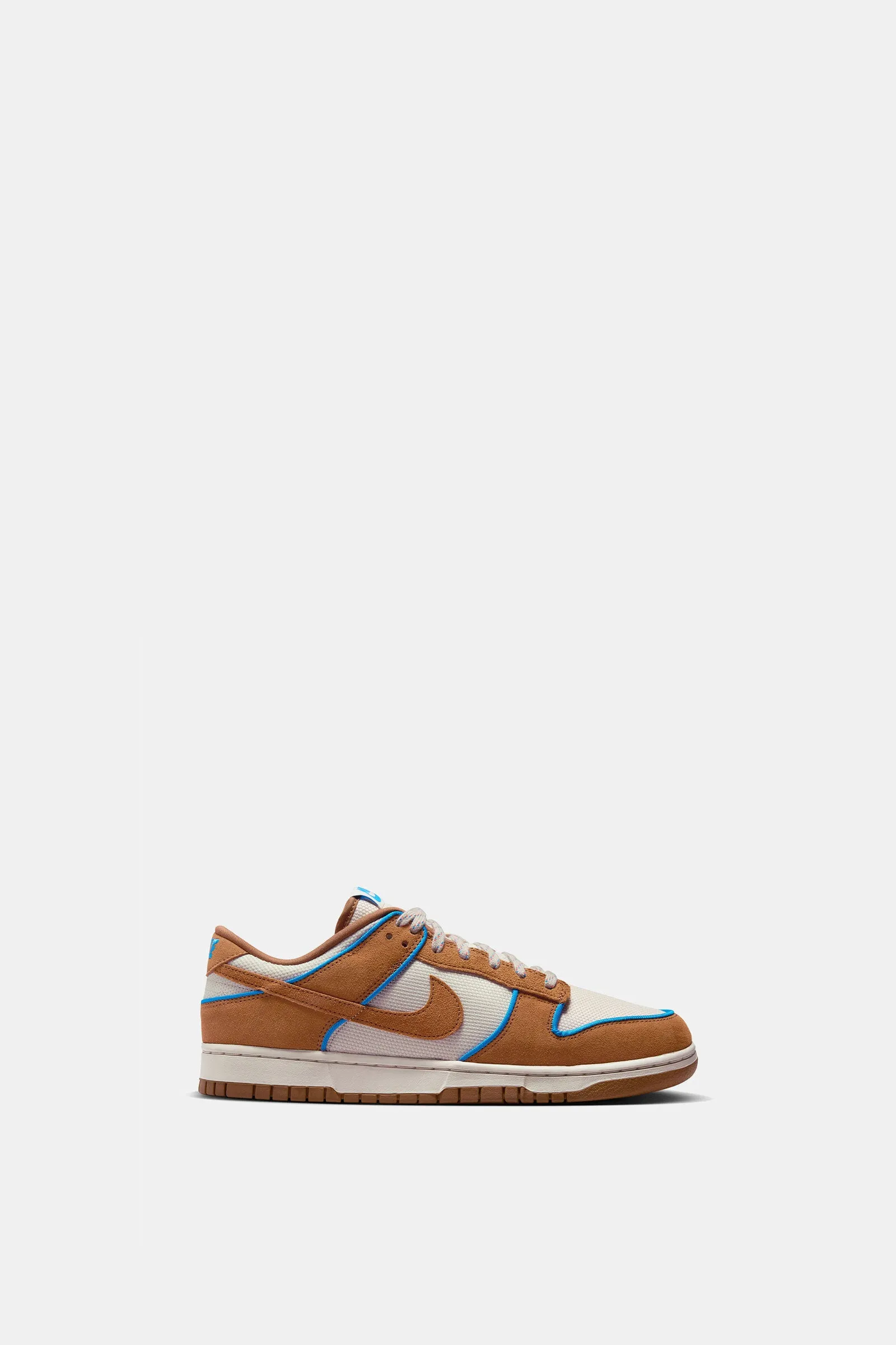 Nike Dunk Low Retro Prm