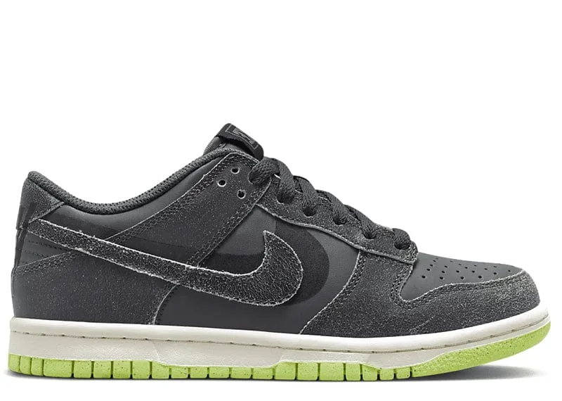 Nike Dunk Low Swoosh Shadow Iron Grey (GS)