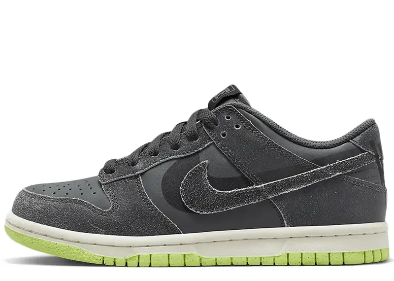 Nike Dunk Low Swoosh Shadow Iron Grey (GS)