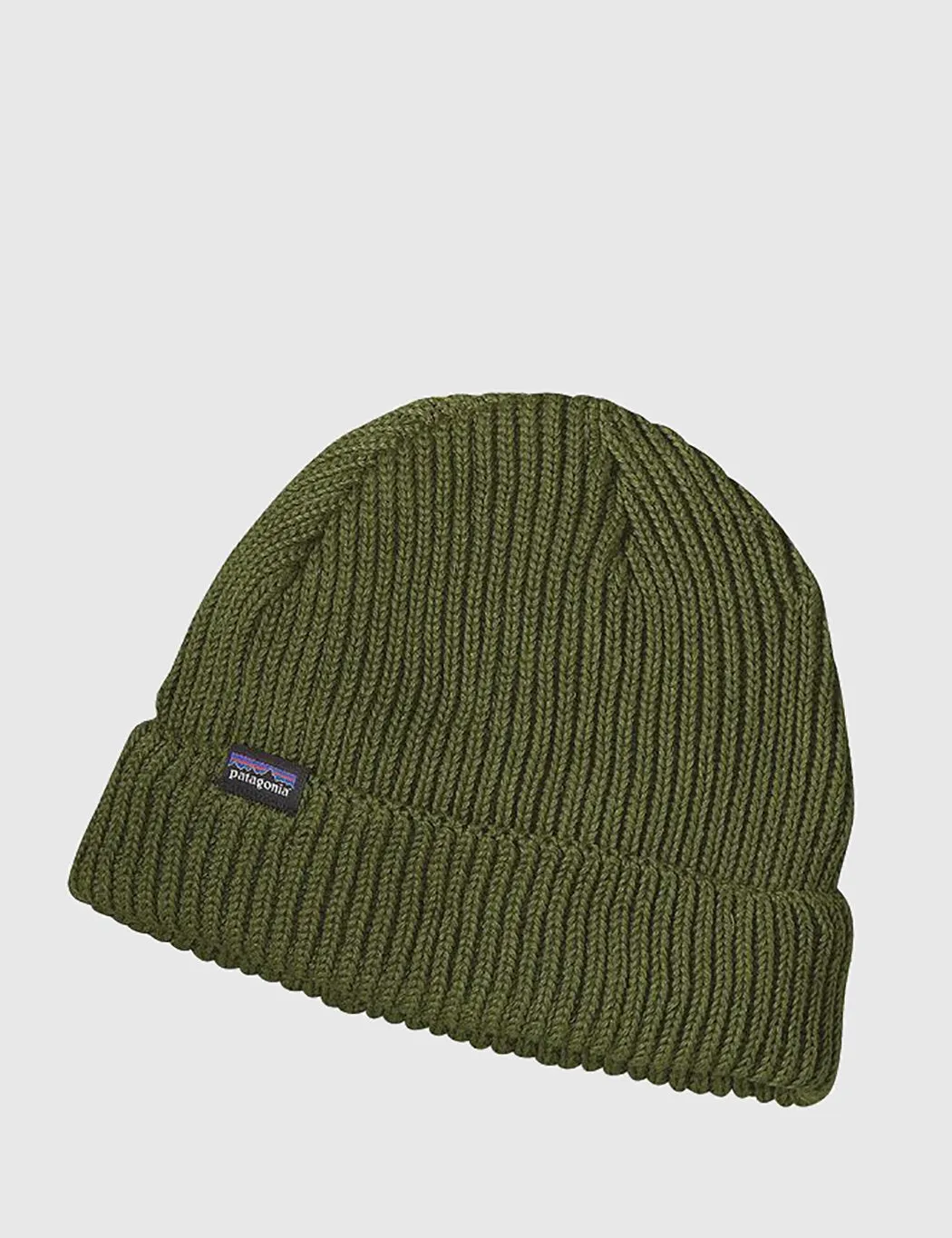 Patagonia Fisherman's Rolled Beanie Hat - Glades Green