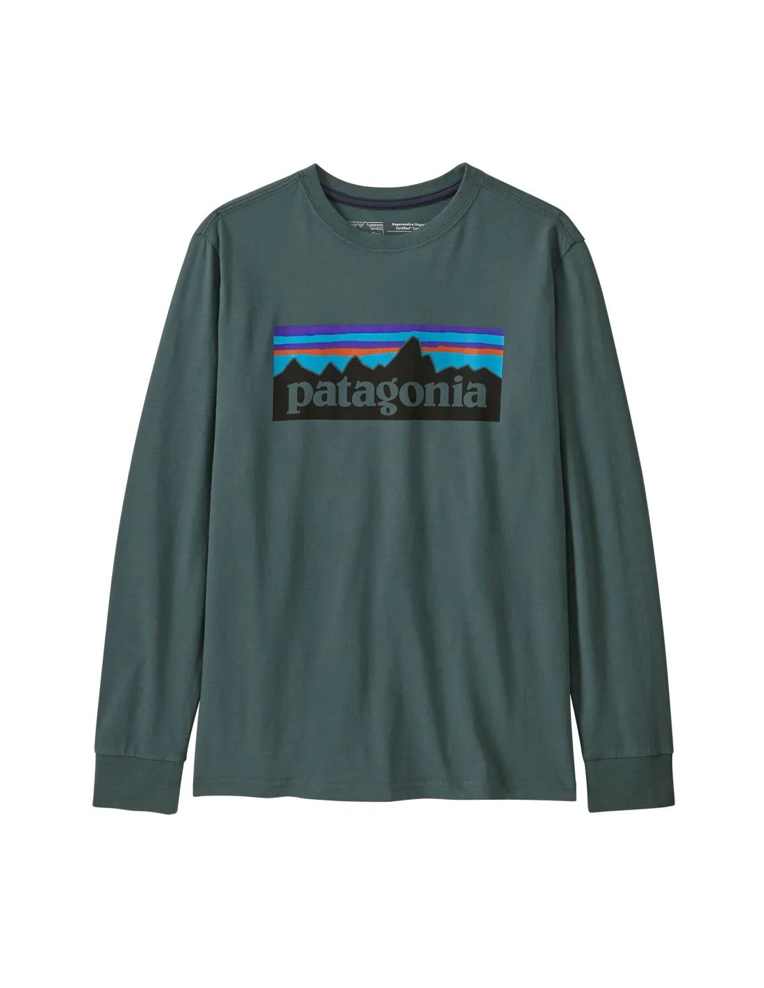 Patagonia, Kids' Long-Sleeved Regenerative Organic Cotton P-6 T-Shirt