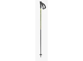 Salomon Ski Poles X 08 Black/Yellow