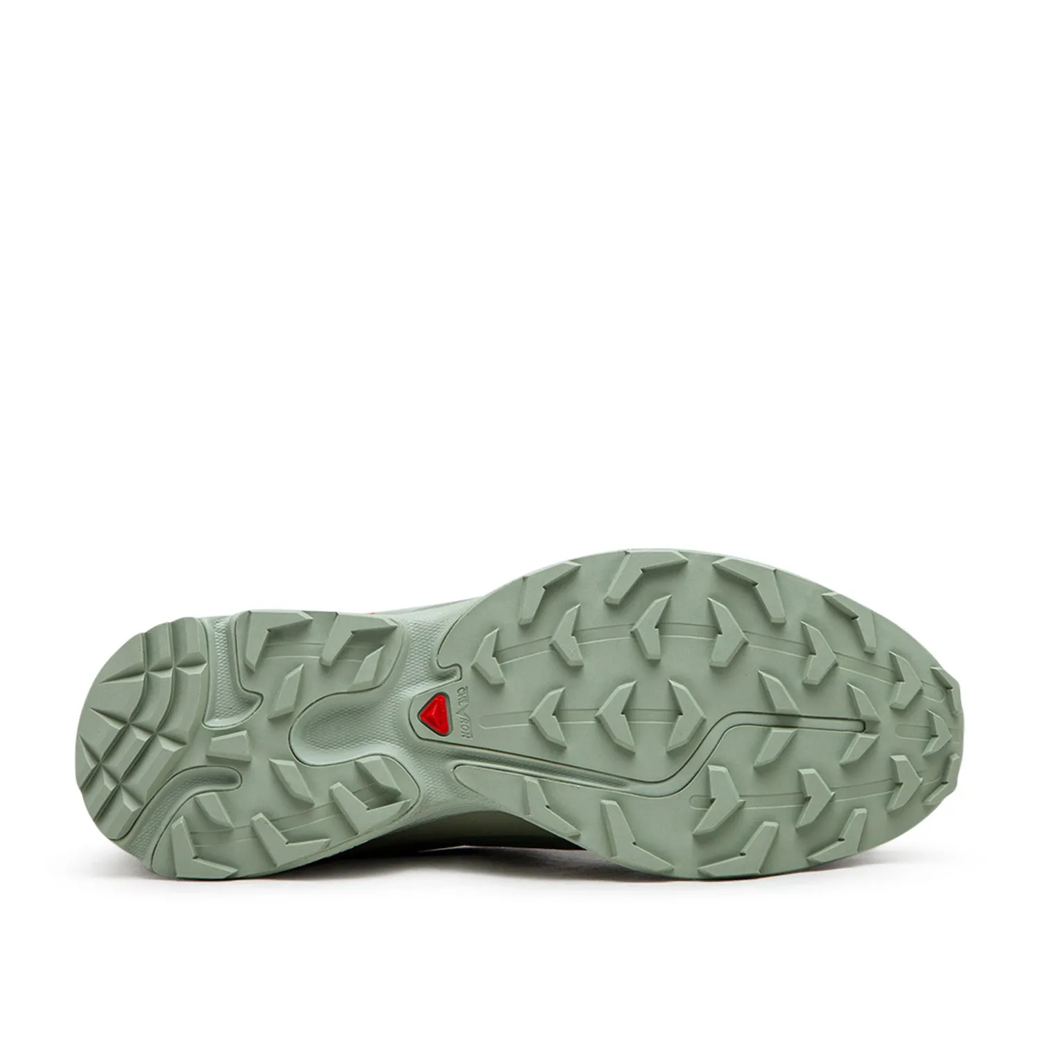 salomon xt-6 gtx (desert sage / lily pad / laurel wreath)