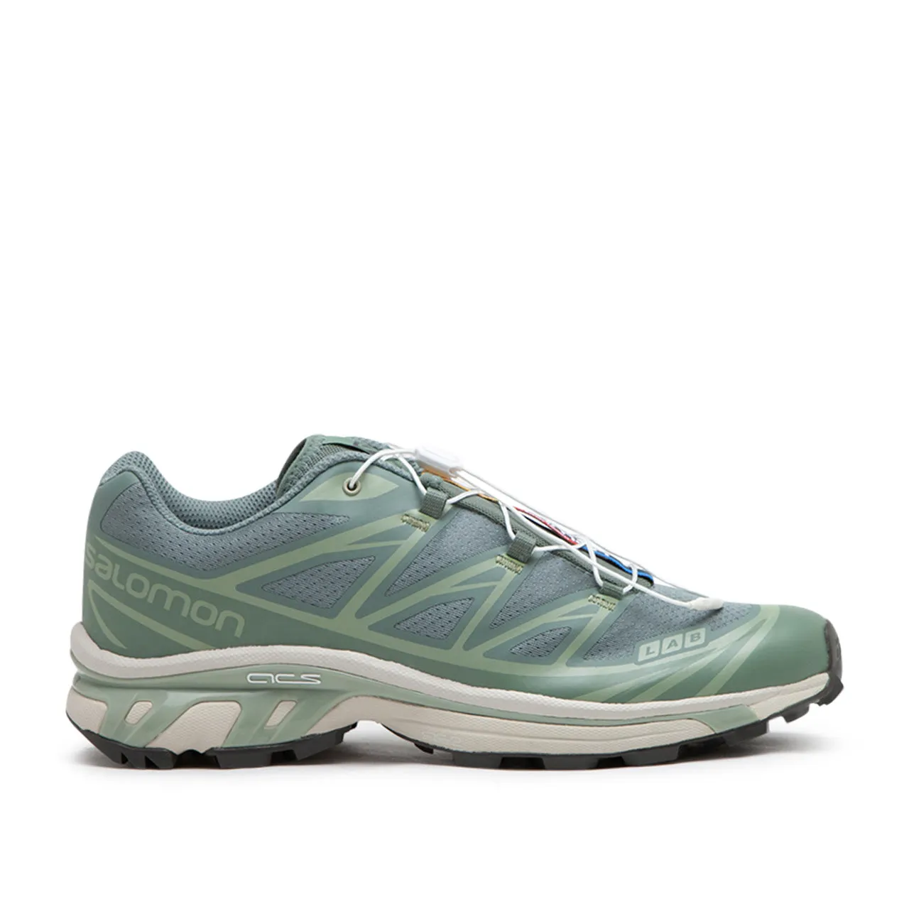 salomon xt-6 (laurel wreath / lily pad / desert sage)