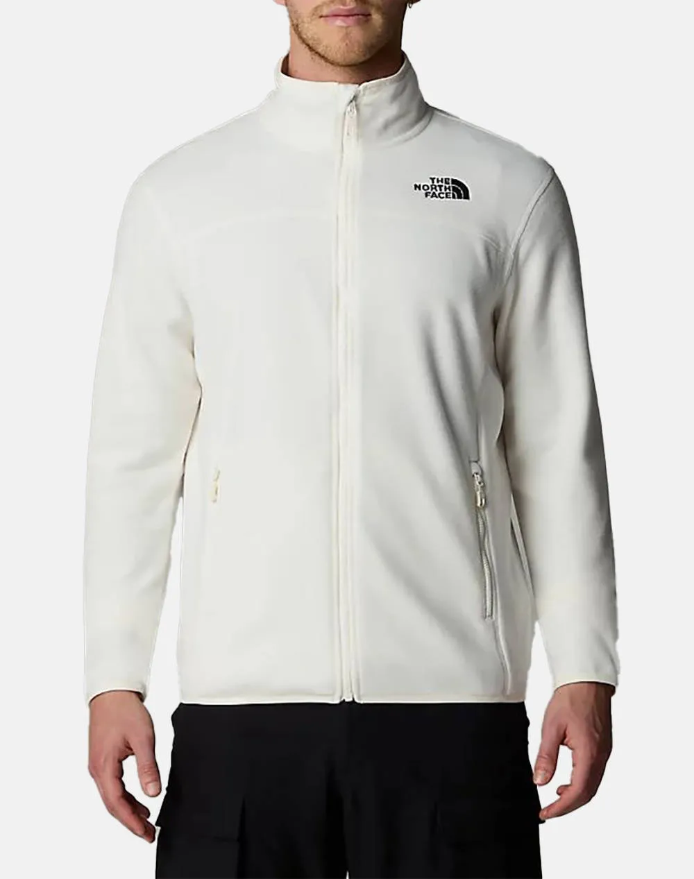 THE NORTH FACE M 100 GLAC FZ