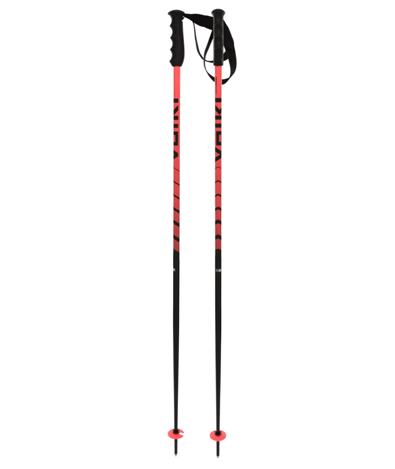 Volkl Speedstick Ski Poles 2024