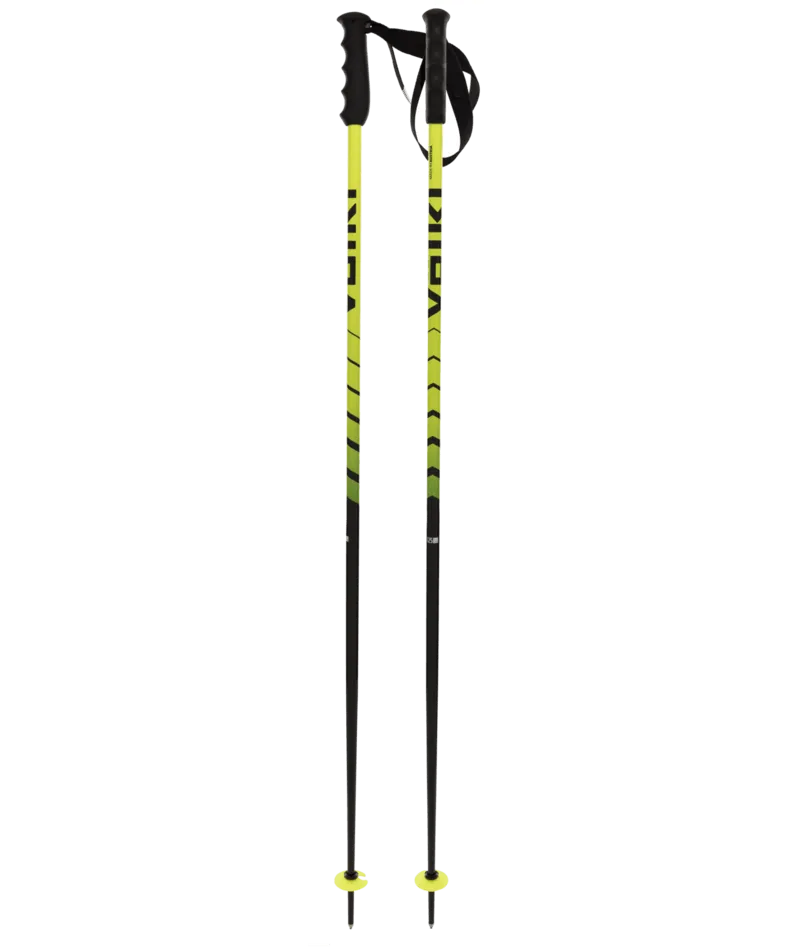 Volkl Speedstick Ski Poles 2024